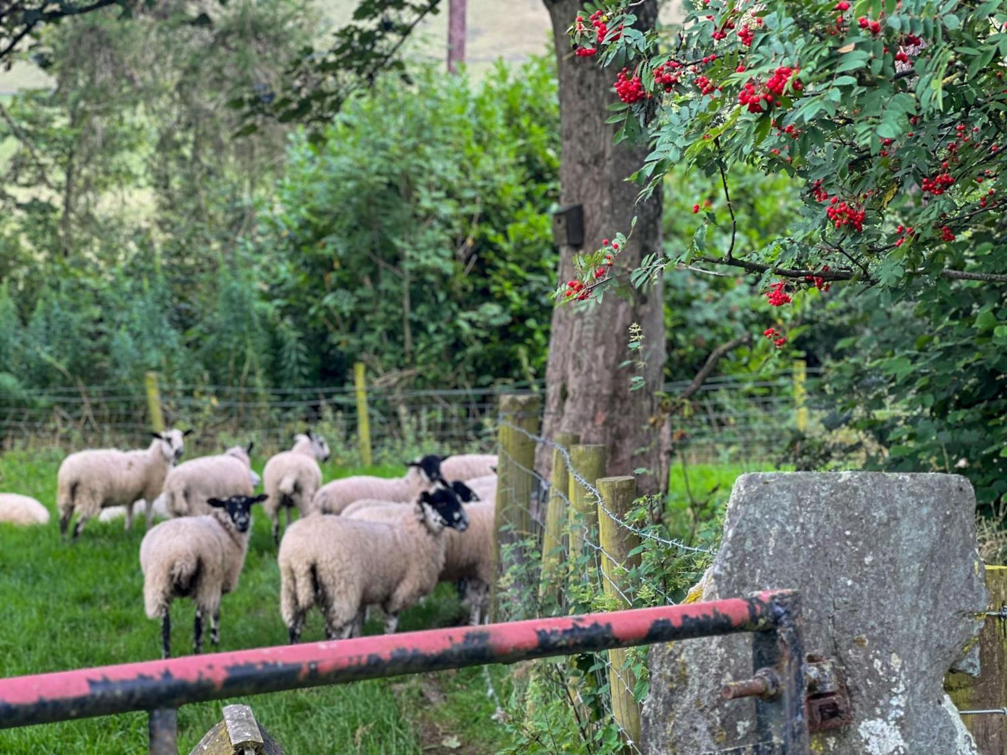 Bassenthwaite Farm Cottage Exterior photo